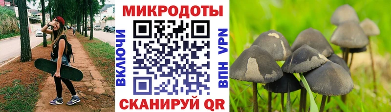 Галлюциногенные грибы ЛСД  где можно купить наркотик  Мегион 