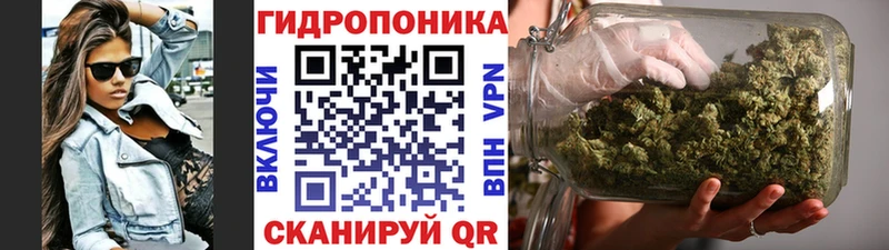 дарнет шоп  Мегион  Каннабис семена 